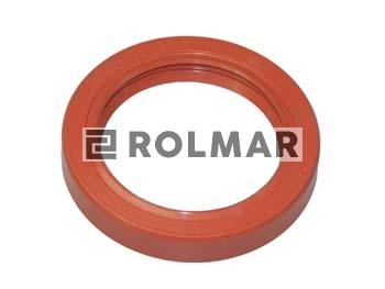 Pierścień uszczelniający simering 58x80x13 silikon  ( sprzedawane po 10 )