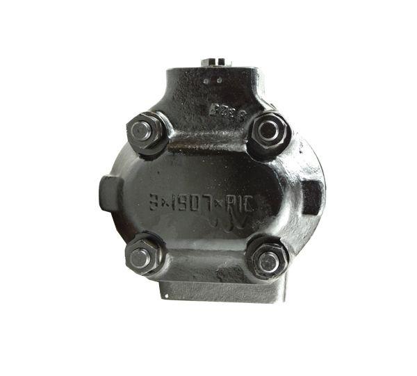 Pompa hydrauliczna N-096A P2AJ190705A187 JCB Sitemaster, 3CX Grey Cab, Hammermaster, Grey Cab Waryński