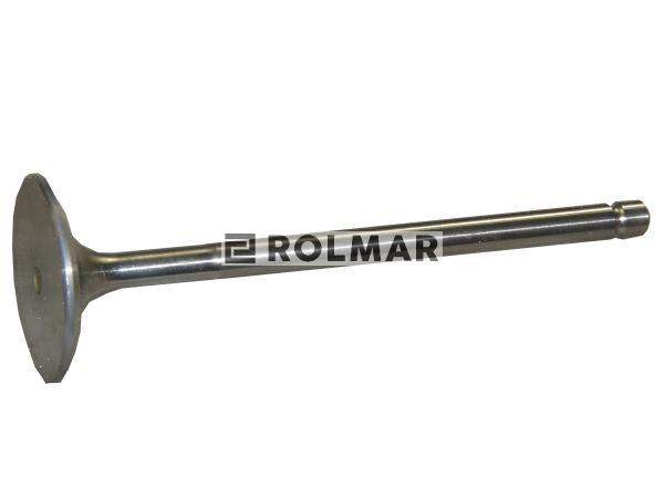 Zawór ssący Bizon Paradowski