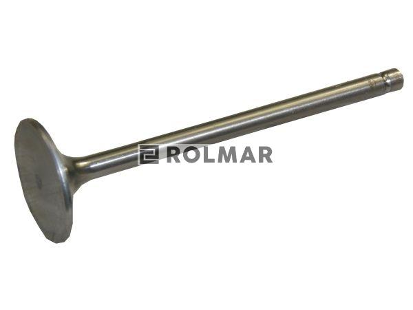 Zawór wydechowy Bizon Paradowski