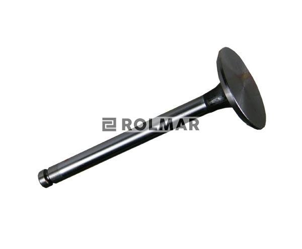 Zawór ssący 1877717M92 Massey Ferguson/Perkins