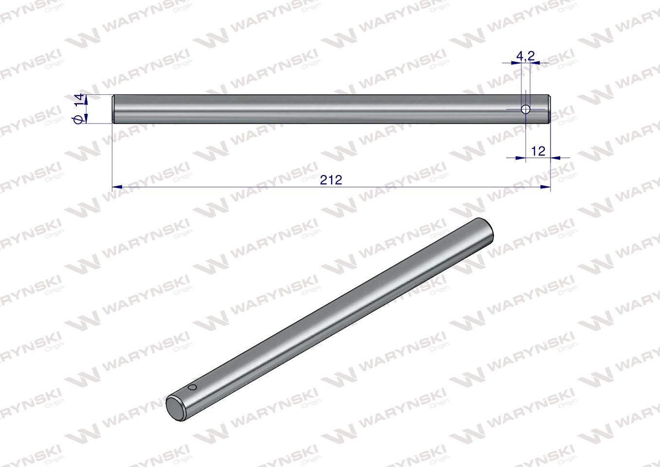 Palec ślimaka Bizon Waryński ( sprzedawane po 5 )